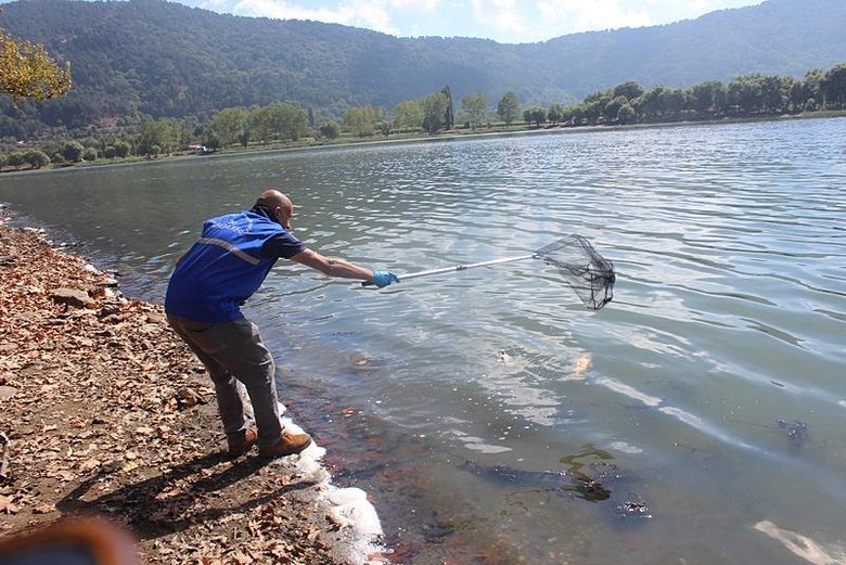 İzmir’deki gölde toplu balık ölümleri! İnceleme başlatıldı: Sebebi nedir?