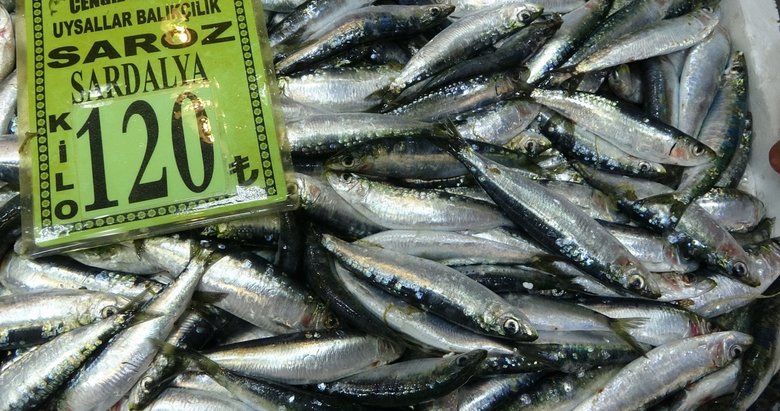 Çanakkale’de havalar balık tezgahlarını vurdu: Sardalyanın kilosu 120 lirayı buldu!