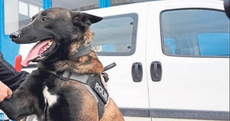 Saklanan esrarlar Thor’dan kaçmadı