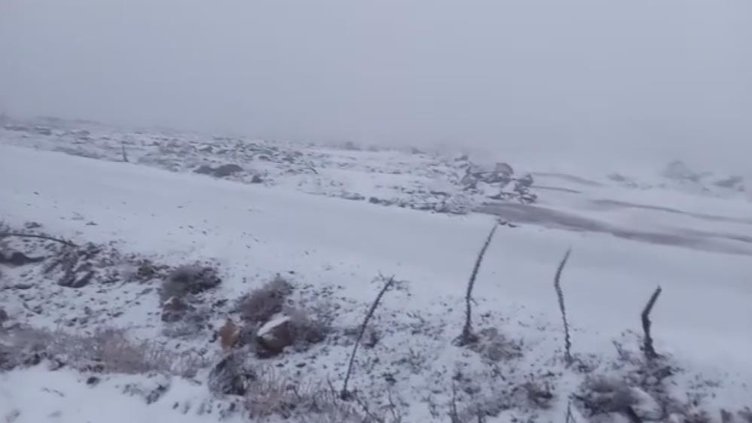 Ege’nin o şehrine mevsimin ilk karı düştü! Beyaza büründü