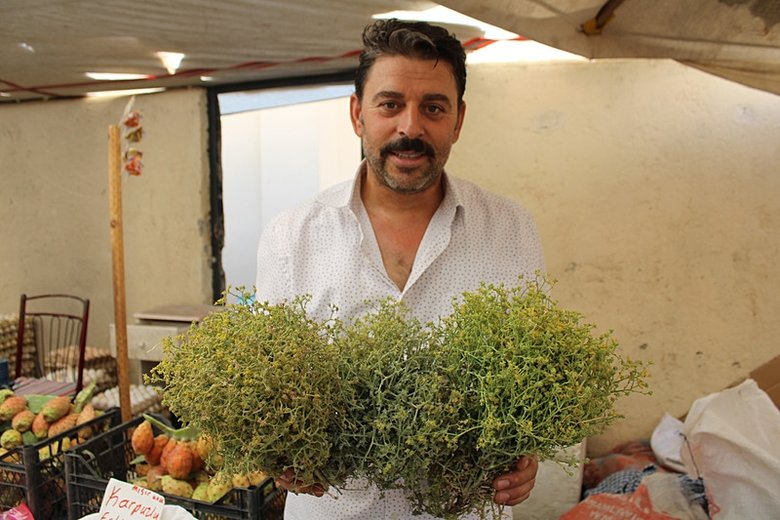 Kış sofralarının olmazsa olmazı şifa dağıtıcısı: Tarhana otu