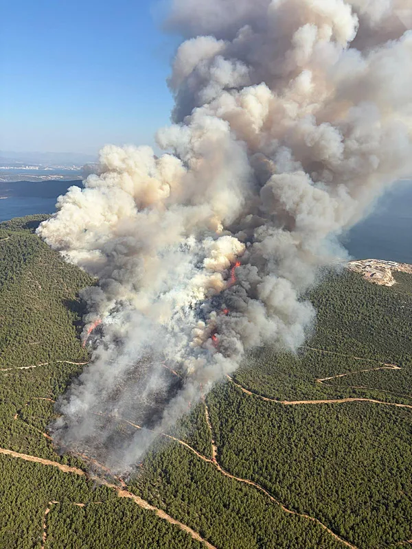 son-dakika-muglanin-uc-ilcesinde-orman-yangini-1784043904630.png