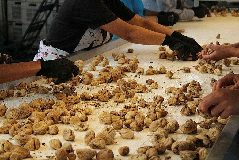 Kuru incir ihracatından 2 ayda 89 milyon dolar geldi