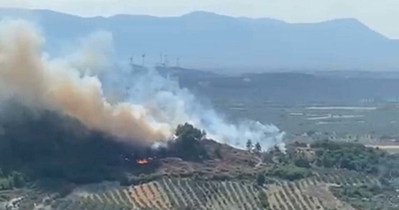 Manisa’da orman yangını çıktı! Müdahale sürüyor