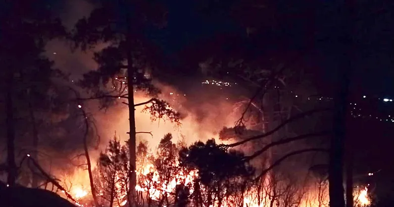 Muğla’da orman yangını