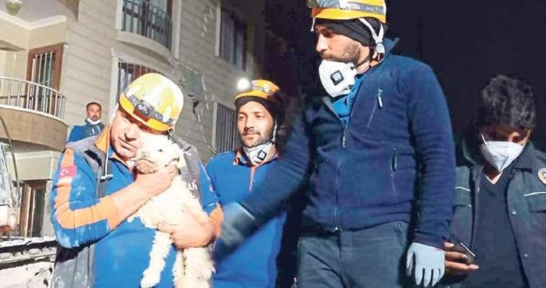 Fıstık, kabındaki son mama ile hayatta kaldı