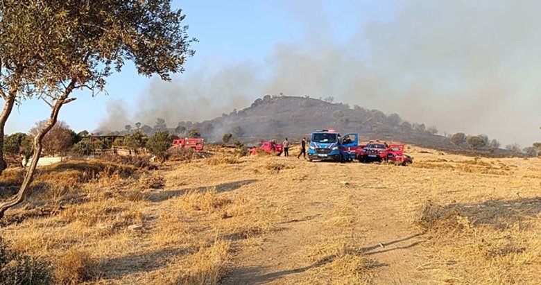 Foça’da orman yangını! Bir mahalle tahliye edildi