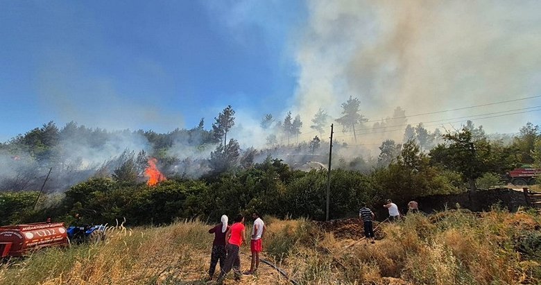 Aydın ve Muğla’da çıkan yangınları söndürme çalışmaları sürüyor