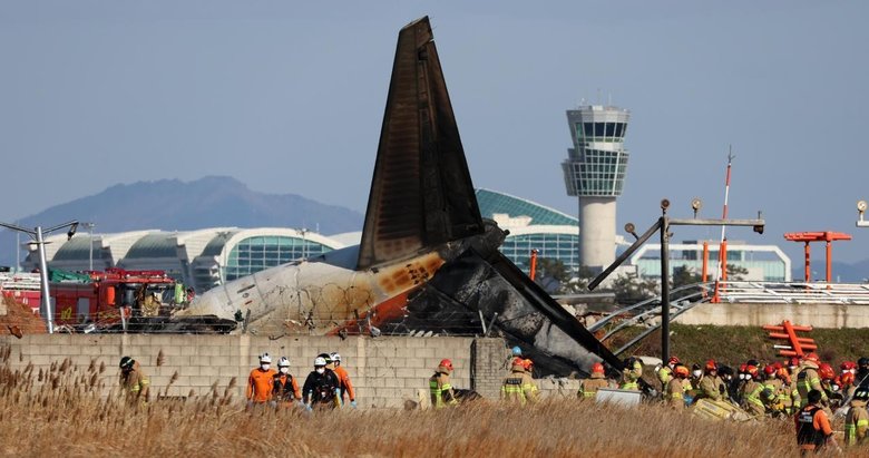 Jeju Air kazasında motorlarda kuş tüyleri bulundu