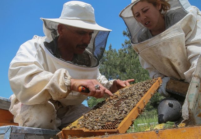 Kadın girişimci arı sütü siparişlerine yetişemiyor