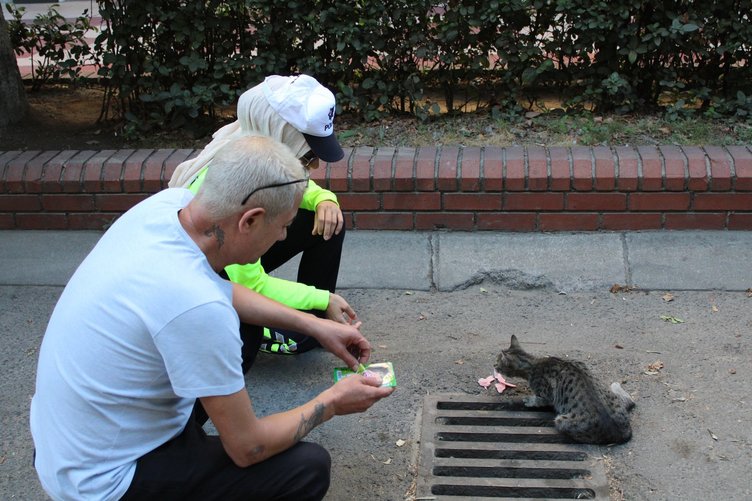 Aydın’da duyarlı kadın trafikçiler yol kenarında mahsur kalan ayağı kırık kediyi kurtardı