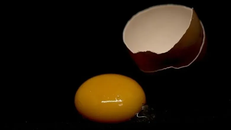 salmonella-belirtileri-neler-salmonella-zehirlenmesi-nasil-anlasilir-kac-gunde-belli-olur-1787653600874.jpeg