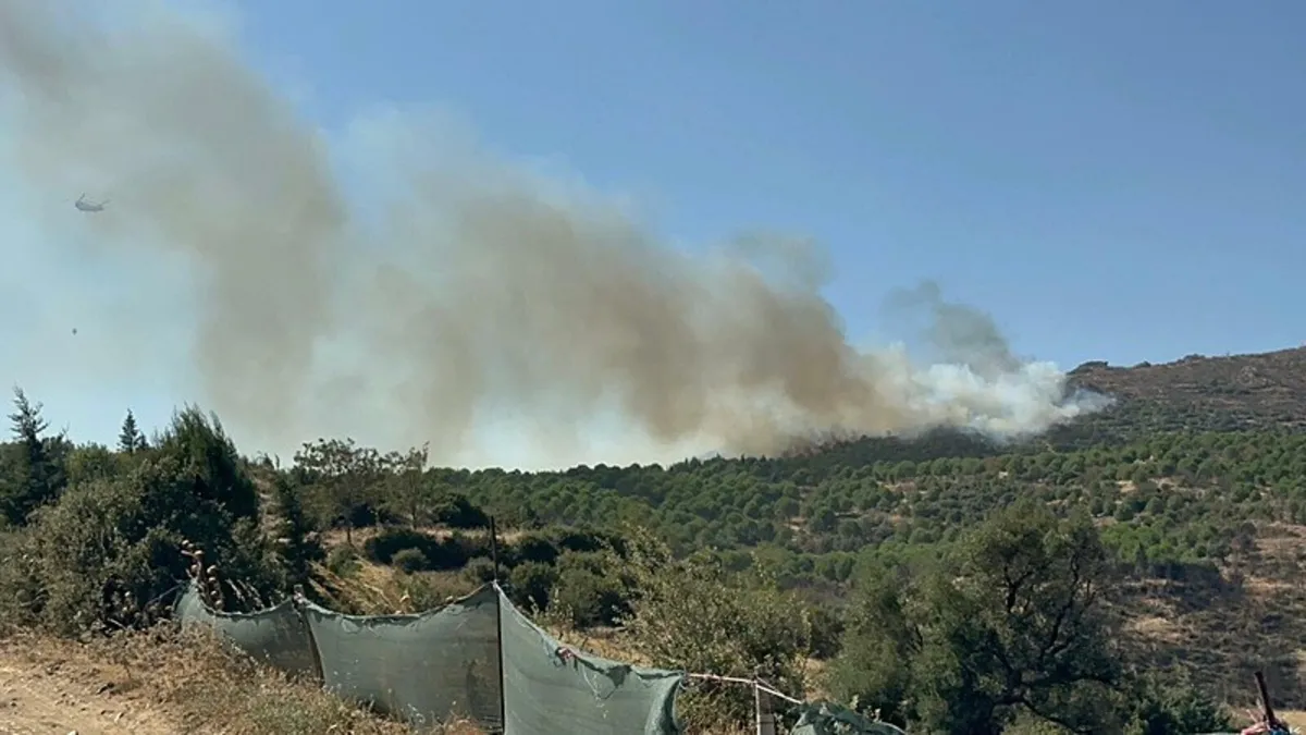 Son dakika: İzmir Ödemiş'te orman yangını