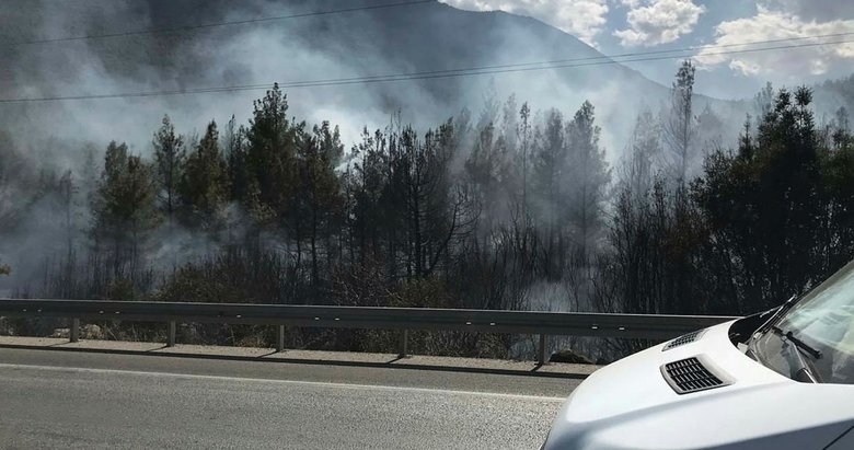 Denizli’deki orman yangınında kundaklama iddiası! Polis, ormanı ateşe verdikten sonra kaçan şüpheliyi arıyor