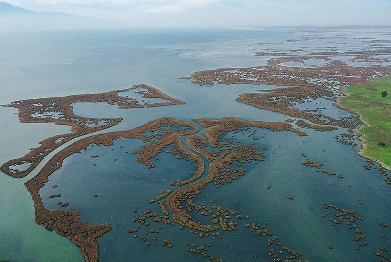 Gediz Deltası’nda kış kuşları kayıt altına alınıyor! İzmir Kuş Cenneti’nde nüfus sayımı