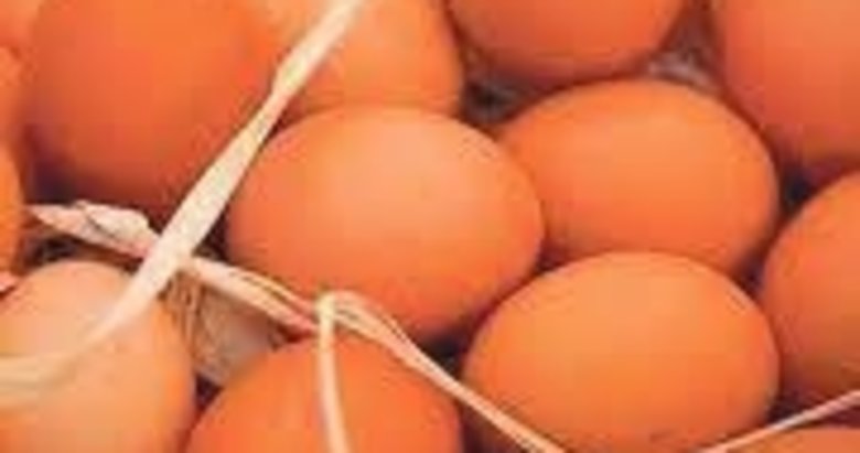 Yumurta üreticilerine rekabet soruşturması