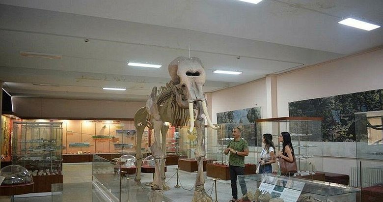 İzmir’de ziyaretçilerini bekliyor! Ege’nin bilim vitrini: Tabiat Tarihi Koleksiyonu