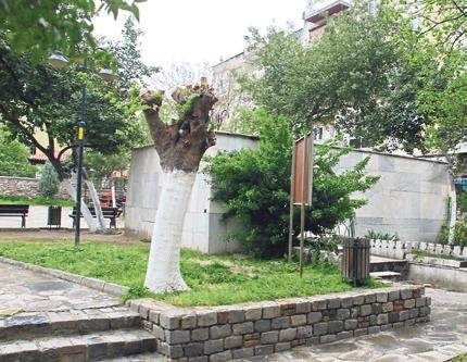 Mezarda doğan bebek ‘İbn-i Melek’