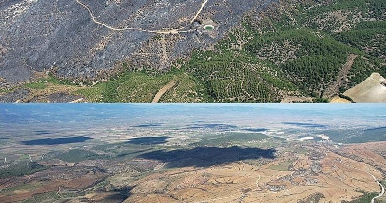 İzmir’deki büyük yangının izleri silindi! 1 milyon 651 bin fidan dikildi