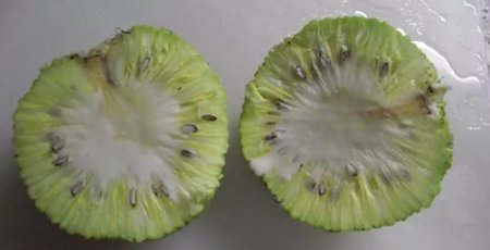 Bir meyve düşünün ekmek gibi: Breadfruit nedir?...