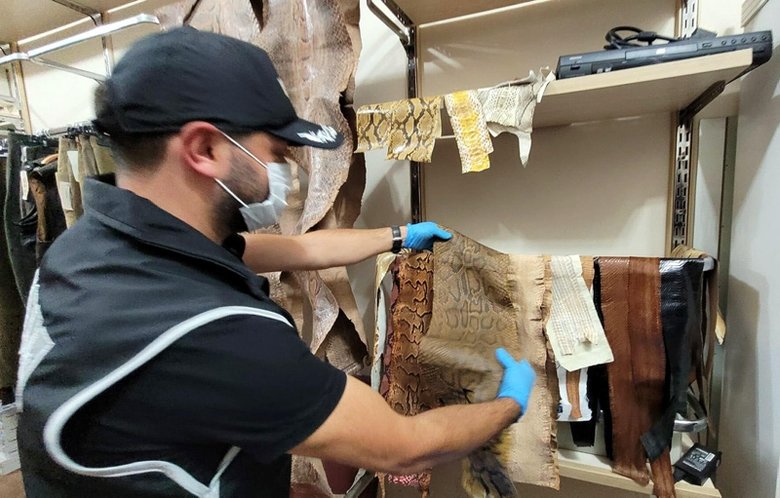 İzmir’de yurda kaçak yollarla getirilen 31 yılan derisi ele geçirildi