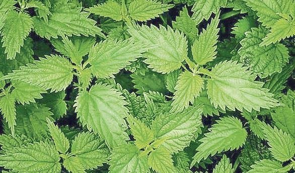 Belirtileri hafif şekilde atlatmanın basit yolları