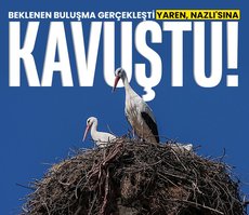 Yaren Leylek, eşi Nazlı ile buluştu!