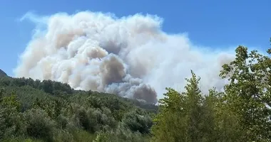 Muğla’da orman yangını!