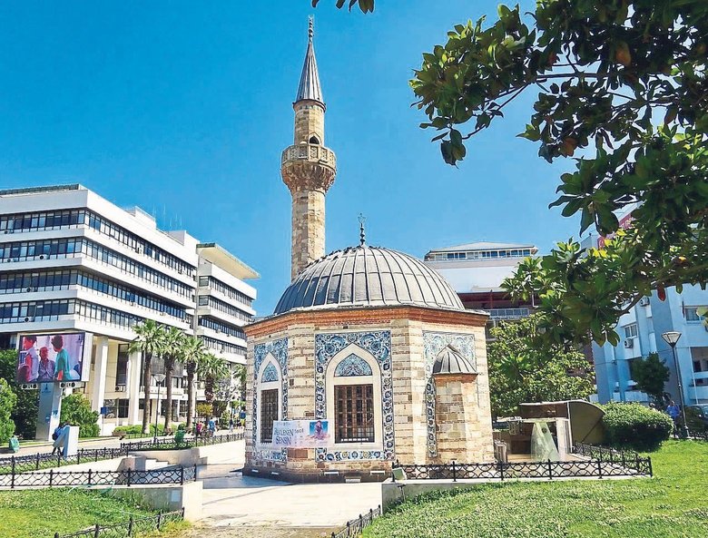 Cennet meyvesi hurma