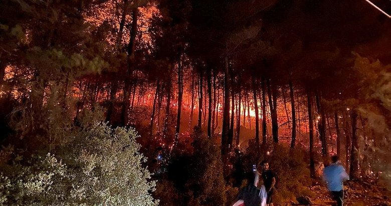 Bakan Pakdemirli: Fethiye yangını kontrol altına alındı