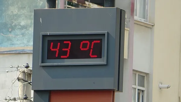 1788943661598.png