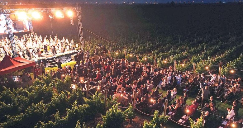 Üzüm bağlarının kalbinde tatil