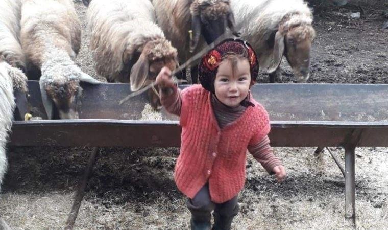 Müslüme’nin ölümünde yeni gelişme! Dedesi tutuklandı