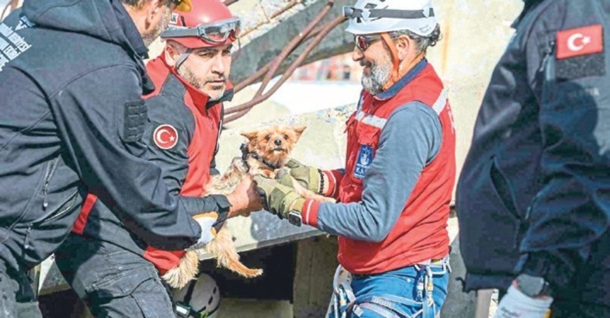 İzmir’de can dostlar için özel eğitim verildi