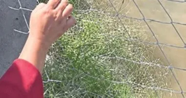 Sulama kanalına düşen çocuk yaşamını yitirdi