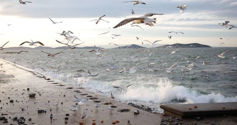 Marmara ve Kuzey Ege’de lodos etkili olacak