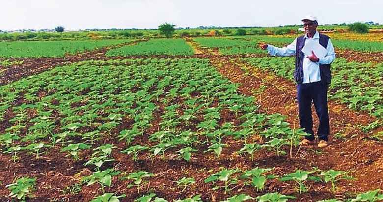 Sudan’da Türk tohumu üretilecek