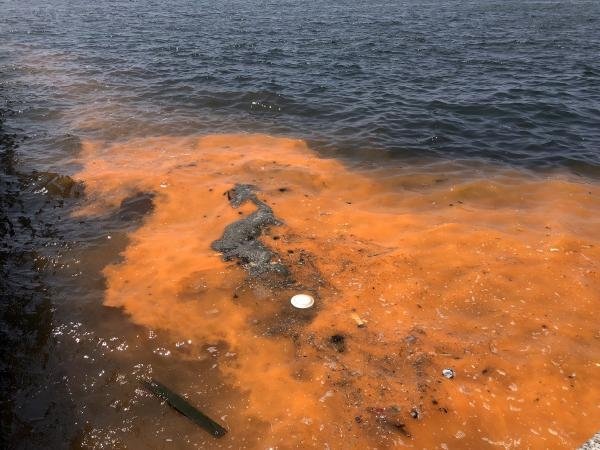 İzmir Körfezi’nde tedirgin eden görüntü! Kırmızı- turuncu renk görenleri korkuttu
