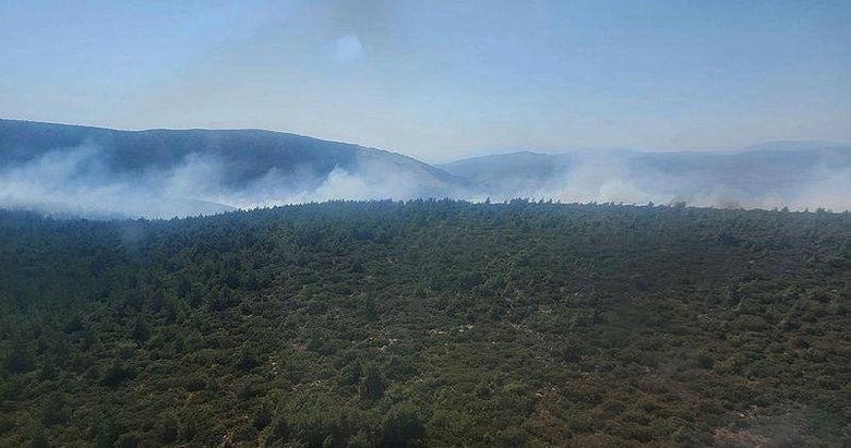 İzmir Karaburun’daki orman yangını 14 saat sonra kontrol altında