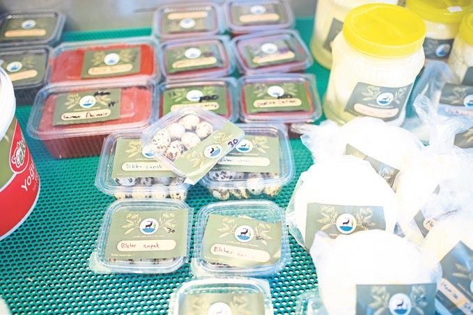 Karateke’nin kadınları suyla tarih yazıyor