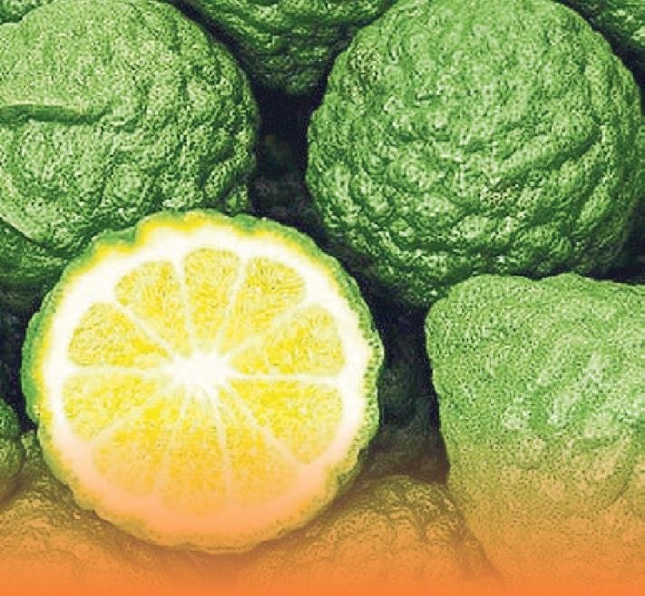 Bu besinler sigarayı bıraktırıyor