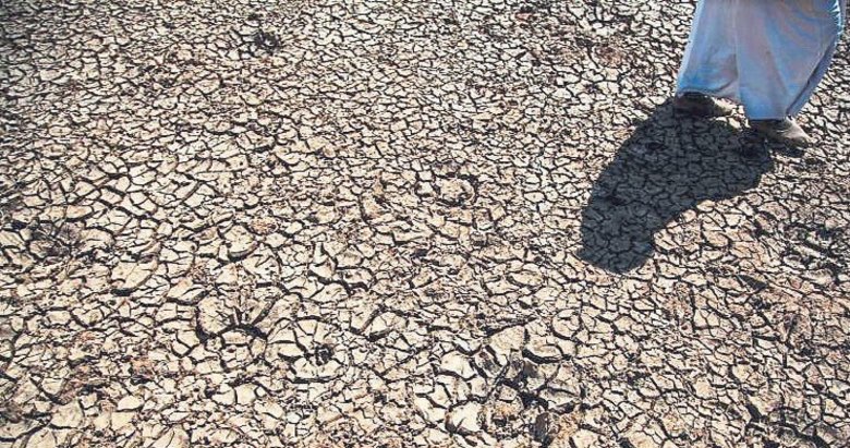 Sürdürülebilir tarıma 8 milyon dolarlık fon