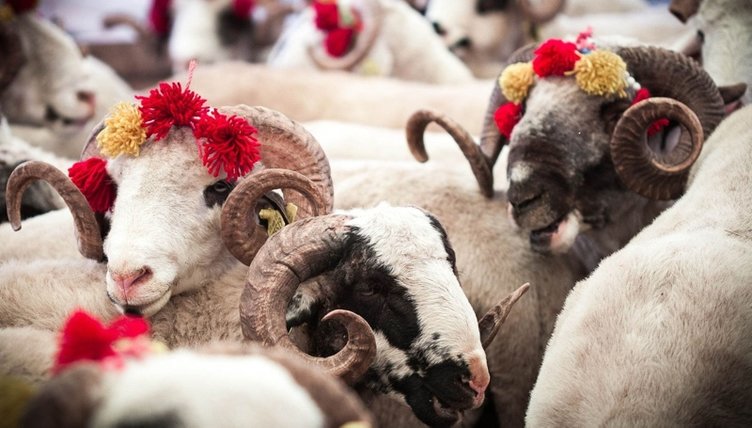 Kimler kurban kesmekle yükümlüdür? Banka kredisiyle kurban kesilebilir mi?