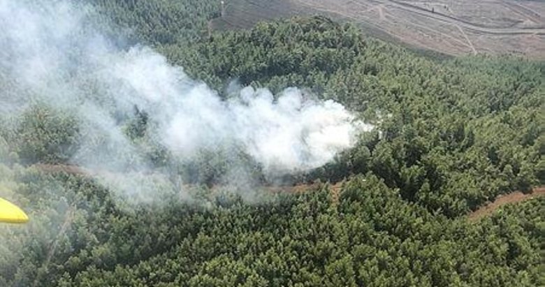 Köyceğiz’deki orman yangını hızlı müdahale ile söndürüldü