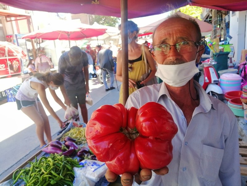 Çanakkale’de yetişen 1 kilo 120 gramlık domates büyüklüğüyle şaşırttı