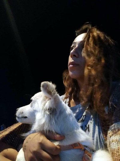 Cesedi cam kırıkları içinde bulunan Ceyda'nın katiline 'elem ve öfke' indirimi