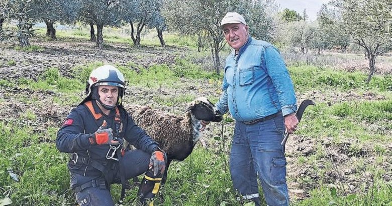 İtfaiyeden koyun kurtarma operasyonu