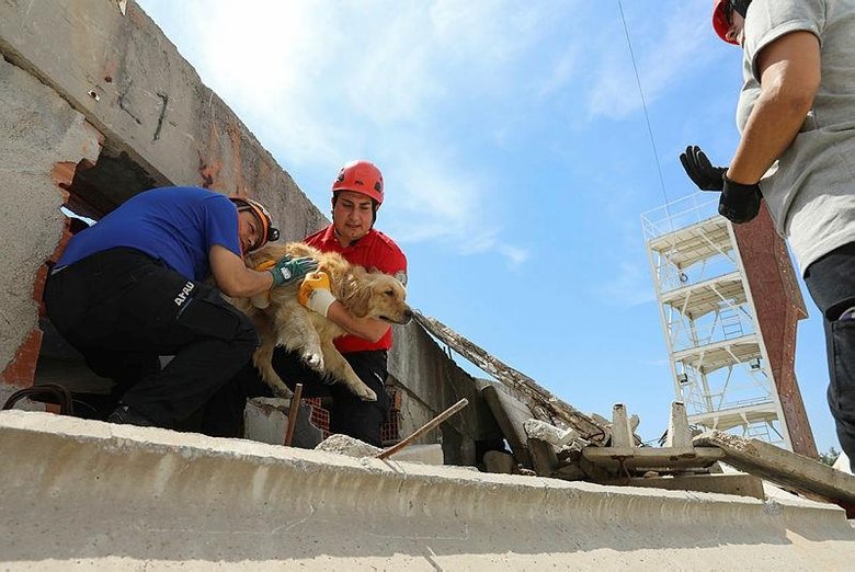 Arama kurtarma ekipleri can dostlar için eğitim alıyor