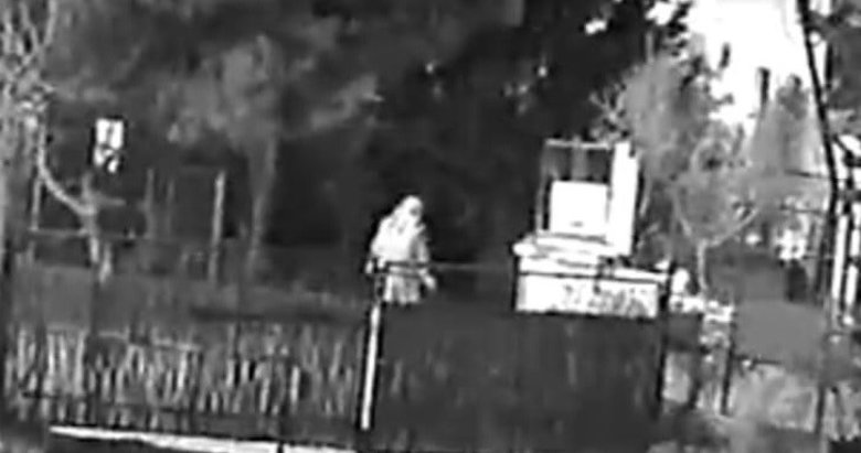 Bodrum’da 12 hayvanı zehirlediği iddia edilen şahıs yakalandı