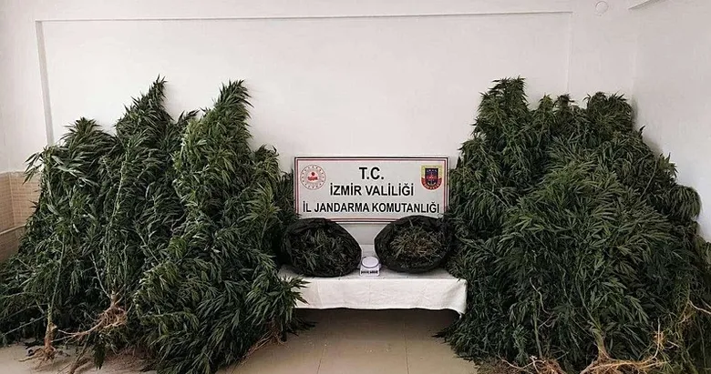 SON DAKİKA: İzmir’de zehir operasyonu! Kilolarca ele geçirildi